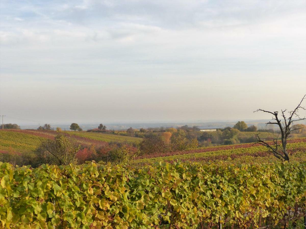 An Der Weinstraße * Oberotterbach