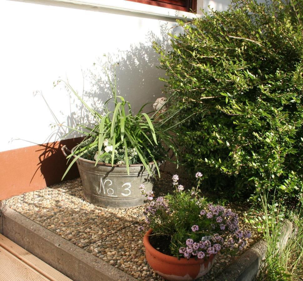 Apartment An Der Weinstraße *
